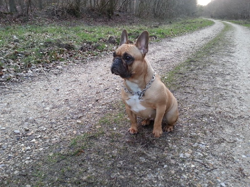 Fiona de la Guilde Saint Ange